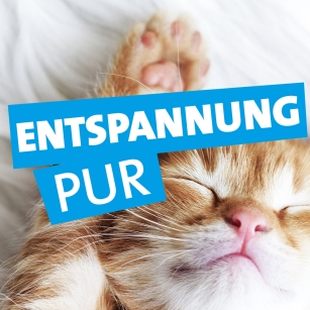 RPR1. Entspannung pur Logo