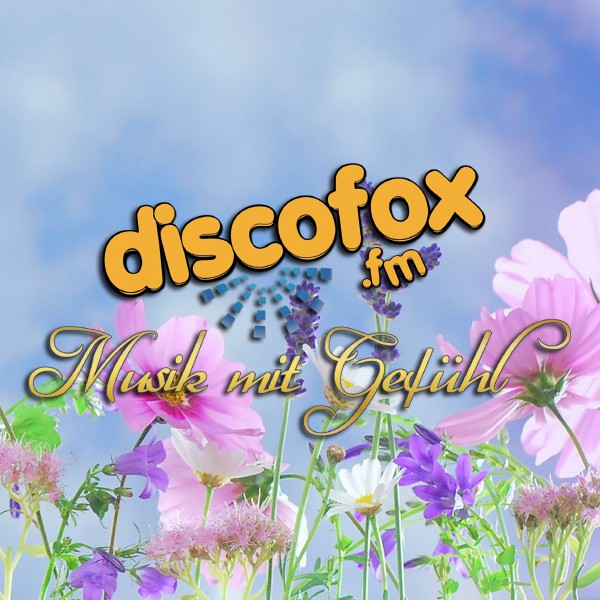 Disco Fox FM Logo
